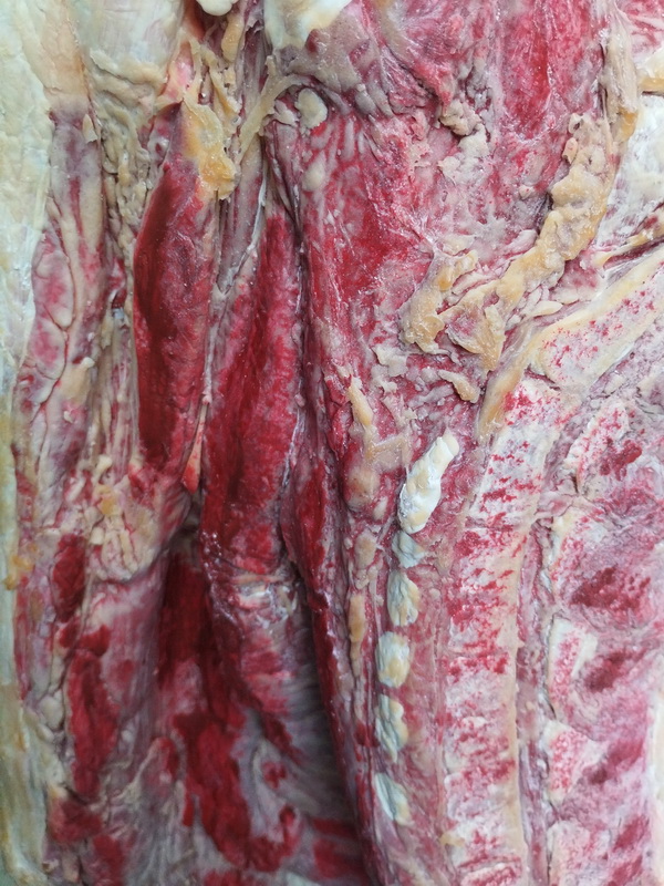 carne costado cerdo replica carniceria 2lados 3u